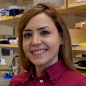 Elena Mahmoudi, PhD